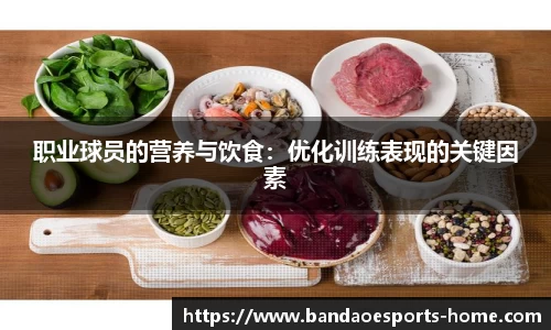 半岛电竞官网